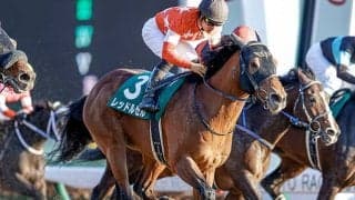 【フェブラリーS予想】4歳世代「大不振」を証明する数々の理由…。若さが「決め手」のダートGIも今年は違う!?