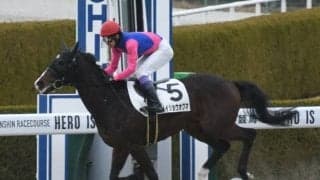 【阪神5R新馬戦結果】武豊騎手騎乗メイショウオグマが早め先頭から押し切り初陣V