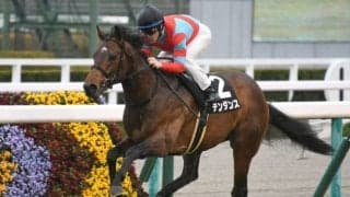 【つばき賞結果】テンダンスが逃げ切って2勝目