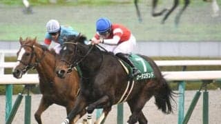 【京都牝馬S結果】ロータスランドが押し切って重賞2勝目 岩田望来騎手は待望の重賞初V