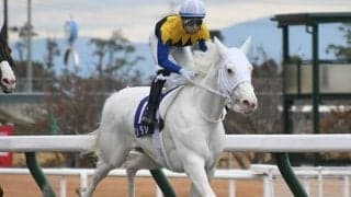 【フェブラリーS予想】ソダシの巻き返しは？ ダート血統でも抗えない不安データ