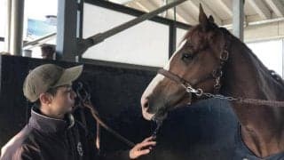 【フェブラリーS】インティ野中師「8歳になって彼なりに成長」/ねぇさんのトレセン密着