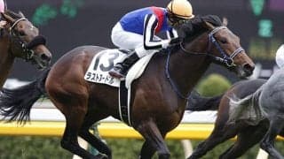 【東京10R・金蹄S】フィエールマンの半弟ラストヌードルが予後不良に