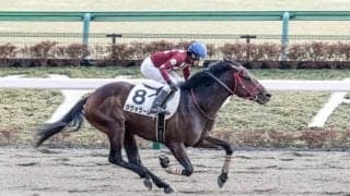 【フェブラリーS予想】いずれにしても土曜夜からの雨量と展開次第で…/万哲の馬場予報