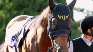 【WIN5予想】フェブラリーSはコース適性を重視したい