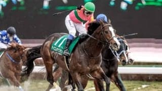 【フェブラリーS】テイエムサウスダン岩田康騎手「目一杯の仕上げ。GIをプレゼントしたい。恩を返したい」/ねぇさんのトレセン密着