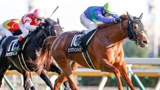 【京都牝馬S】ビッククインバイオが予後不良に、2歳時に重賞3着2回