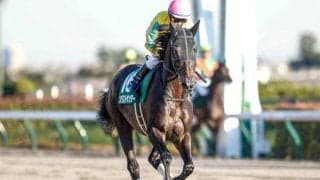 【フェブラリーS予想】コース適性が鍵になるダートの頂上決戦