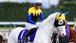 【フェブラリーS予想】1番人気と人気薄の組み合わせが肝心！枠順・東西・牡牝・前走ローテ傾向はある？