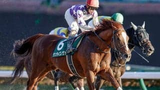 【AI予想・フェブラリーS】AI本命は「超・大穴」！ あの「高齢馬」の豪脚が府中の長い直線で炸裂する!?