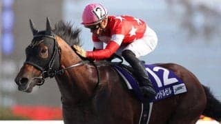 【フェブラリーS 13時時点オッズ】レッドルゼルが単勝4.2倍の1番人気、カフェファラオが5.6倍で続く