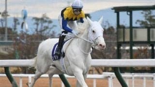 【フェブラリーS・馬体重】ソダシは476kg(+6)、レッドルゼルは494kg(+6)