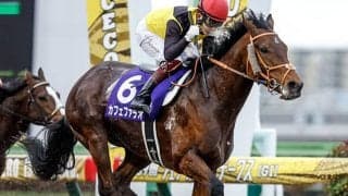【フェブラリーS】砂の王者復権！カフェファラオが史上2頭目の連覇！