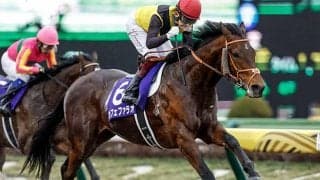 【勝負の分かれ目 フェブラリーS】福永騎手の冷静な騎乗でカフェファラオが史上2頭目の連覇