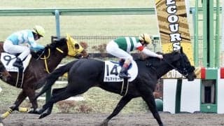 【東京6R】良血アルマドラードが2勝目