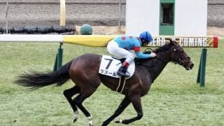 【東京5R】ラスールが断然の人気に応える