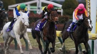 WIN5は1433票的中！カフェファラオが快勝