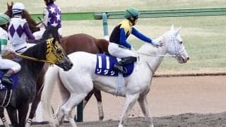 【フェブラリーS】吉田隼「牝馬で良く頑張ってくれた」レース後ジョッキーコメント