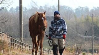 角居勝彦元調教師が取り組むホースセラピープロジェクト