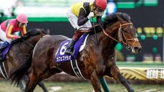 【フェブラリーS】売上は156億6193万9400円で昨年からおよそ23.7億円の増加