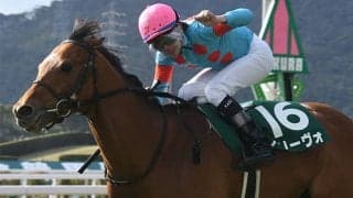 【小倉大賞典】売上は34億9385万7600円で昨年からおよそ3.2億円の増加