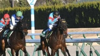 【阪急杯見どころ】ダイアトニックが久々の重賞制覇を狙う