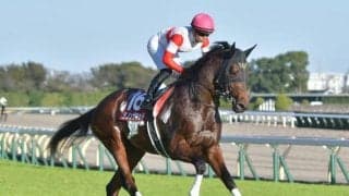 【中山記念見どころ】登録唯一のGI馬ダノンザキッドが人気の中心