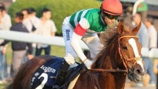 ネオリアリズムの初年度産駒がマジックミリオン・マーチ・イヤリングセールに上場