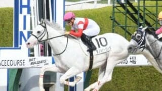 【仁川Sハンデ確定】ダノンハーロックは55.0kg、アナザートゥルースは58.0kg