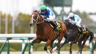 【中山記念展望】今年は地力拮抗のメンバー構成、あの馬の重賞制覇を期待したい