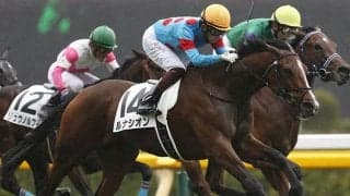 【先週のJRA抹消馬】京都牝馬Sで予後不良のビッククインバイオ、スワーヴリチャードの半妹ルナシオンなど