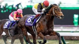 米国で種付け料下落のアメリカンファラオ産駒 日本での成績は良好