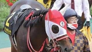 「中山記念勝っといてね」「任せといてください」矢作師とベテラン厩務員の絆、パンサラッサ“大逃げ“への信頼