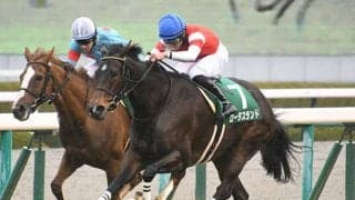 昨夏より22キロ増で本格化顕著 道悪巧者のロータスランドが重賞2勝目