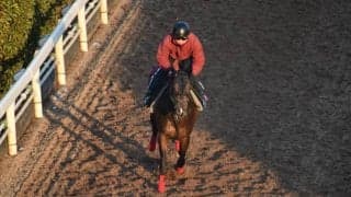 ジレトールなど、先週の入厩情報/栗東トレセンニュース