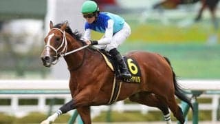 キーワードは「キャリア17戦以内」 高いハードルをクリアしたAIが認めた実績馬とは？