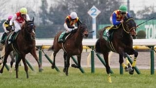 【ダイヤモンドS】テーオーロイヤルが4連勝で重賞初制覇