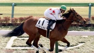 【新馬/東京4R】ミッキーアイル産駒 ミッキーレタスがデビューV