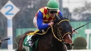 【ダイヤモンドS】菱田「かからないのが強み」テーオーロイヤルが重賞初制覇