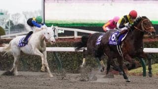 【フェブラリーS】カフェファラオが連覇！東京コースは無敗