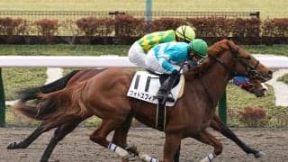 【新馬/東京3R】ヘニーヒューズ産駒 フォトスフィアが人気に応える