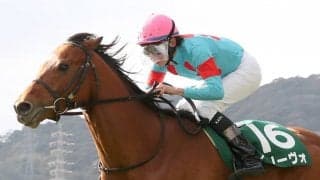 【小倉大賞典】横山和「幅広い戦法がとれる」アリーヴォが重賞初制覇