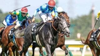 【阪急杯予想オッズ】グレイイングリーンが予想1番人気