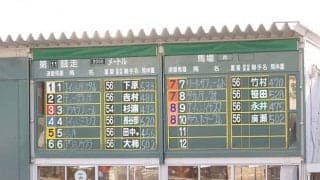 レア開催！ 昭和レトロを継承する「姫路競馬場」を覗いてみよう