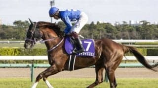 【阪急杯展望】高松宮記念への重要ステップ、前走後方待機組に妙味あり