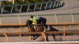 クリンチャーなど、名古屋大賞典追い切り速報/栗東トレセンニュース