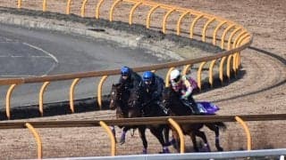 ドウデュース、弥生賞1週前追い切り速報/栗東トレセンニュース