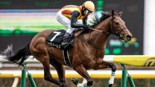【次走】ドゥラドーレスは予定通り毎日杯へ　鞍上は引き続き戸崎圭太騎手