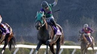 【佐賀・たんぽぽ賞結果】タケノサイコウが追い比べを制して転入後無傷の9連勝