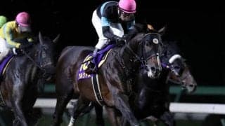 【次走】アルクトスはゴドルフィンマイルを視野に　栗田師「今週中に決めたい」